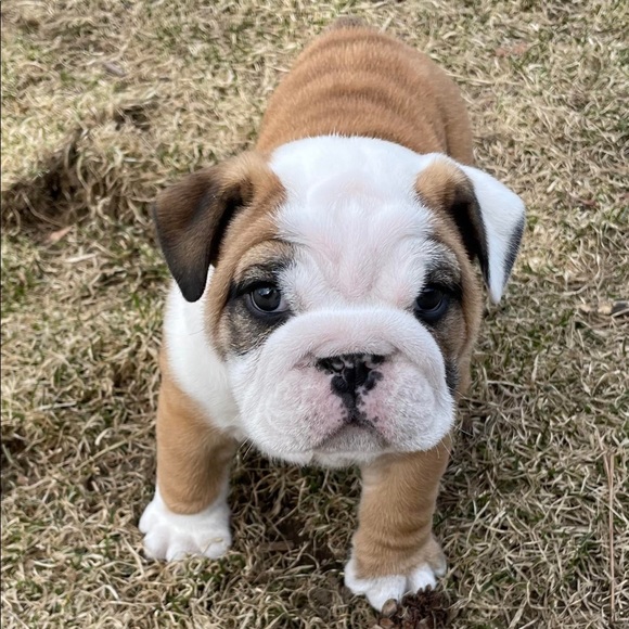 NOT FOR SALE - Picture 15 of 16